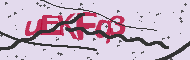 Captcha認証コード
